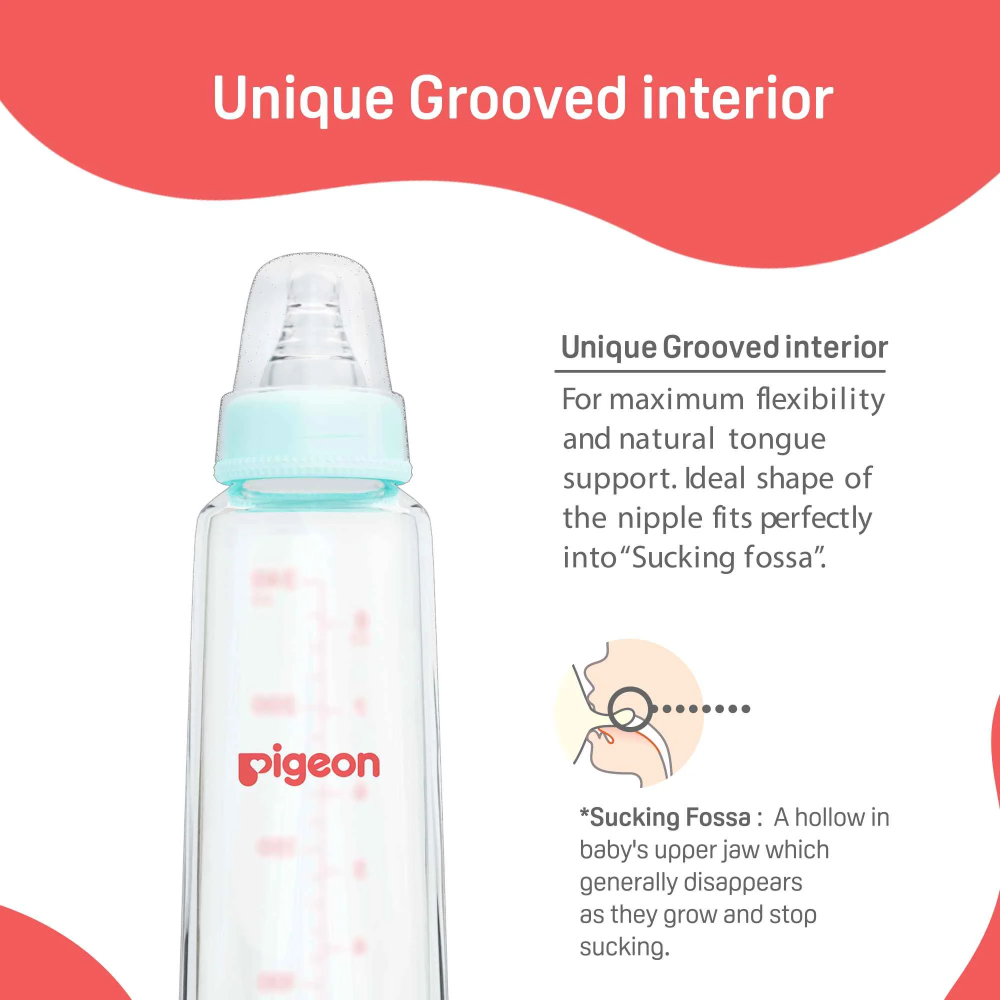 Glass Feeding Bottle 200ml with Add Nipple M - Image 5