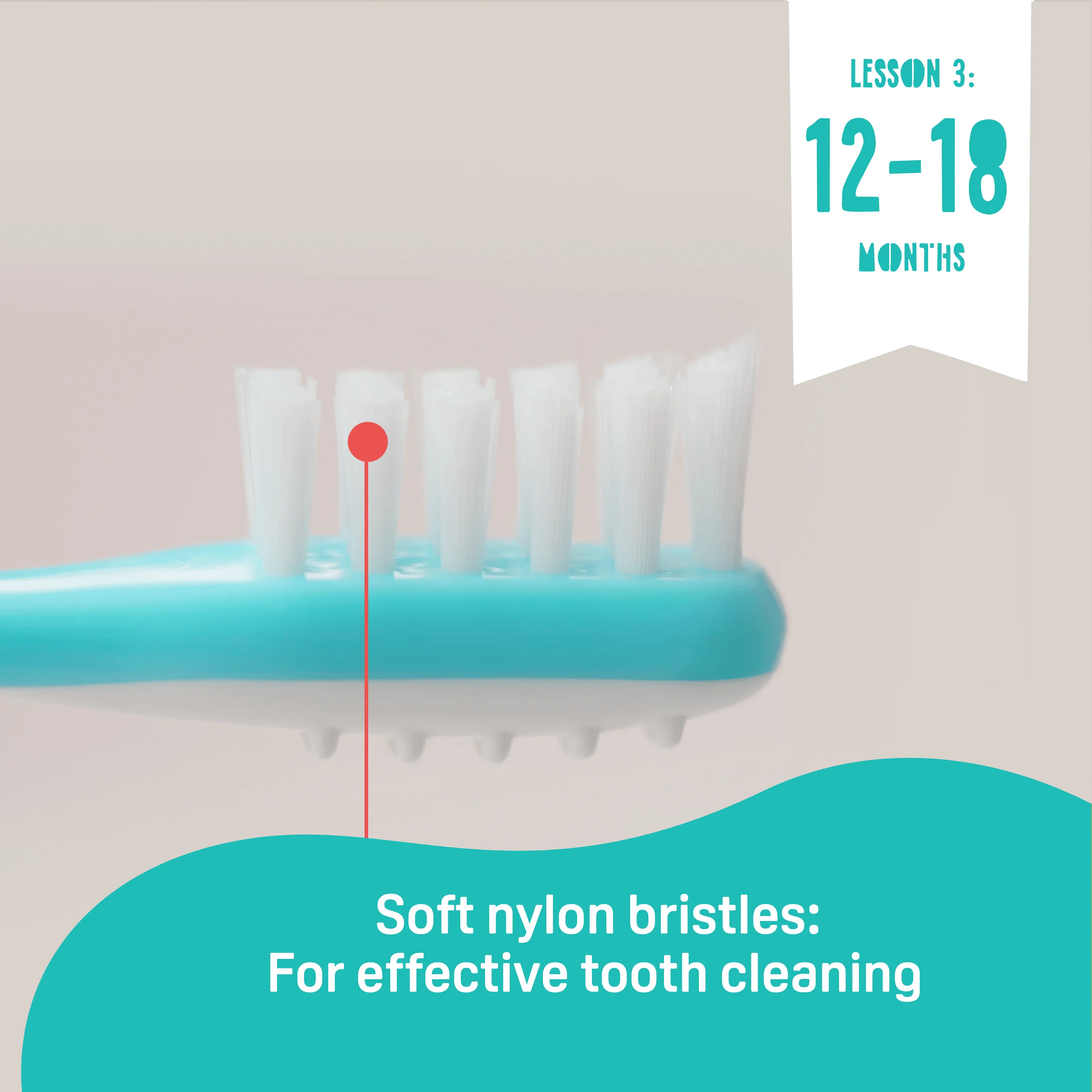 Training Toothbrush Lesson 123 Set - Image 7